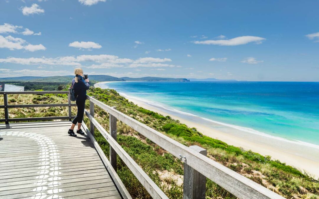 Beyond the Tourist Trail: Insider Tips for Visiting Bruny Island