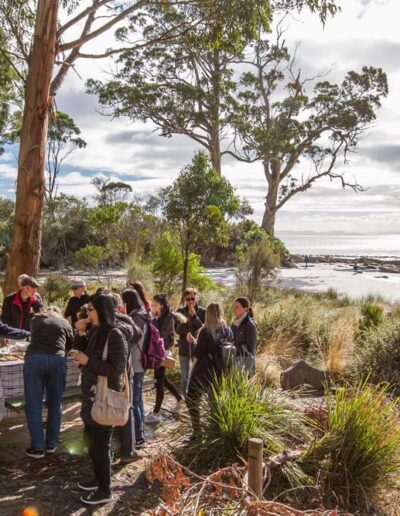 Bruny Island Safaris tour group enjoying oysters and cheese for morning tea at Two Tree Point, Bruny Island, Tasmania